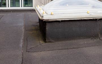 disadvantages of Ranelly flat roofs