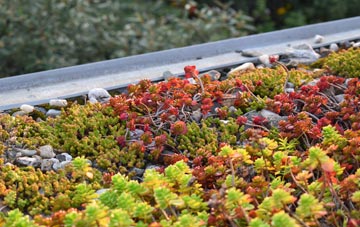 the cost of Ranelly green roof installation