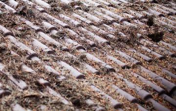 Ranelly roof cleaning companies