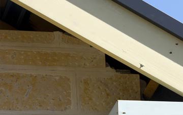soffit repair Ranelly