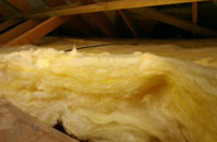 Ranelly pitch roof insulation
