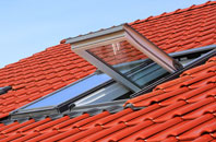 Ranelly roof window