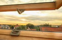rated Ranelly roof window companies
